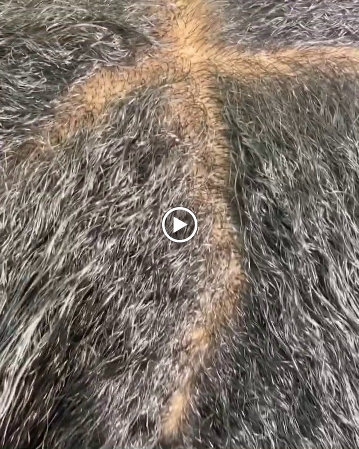 Snobz of Houston- Woodlands Hair Boutique 77385