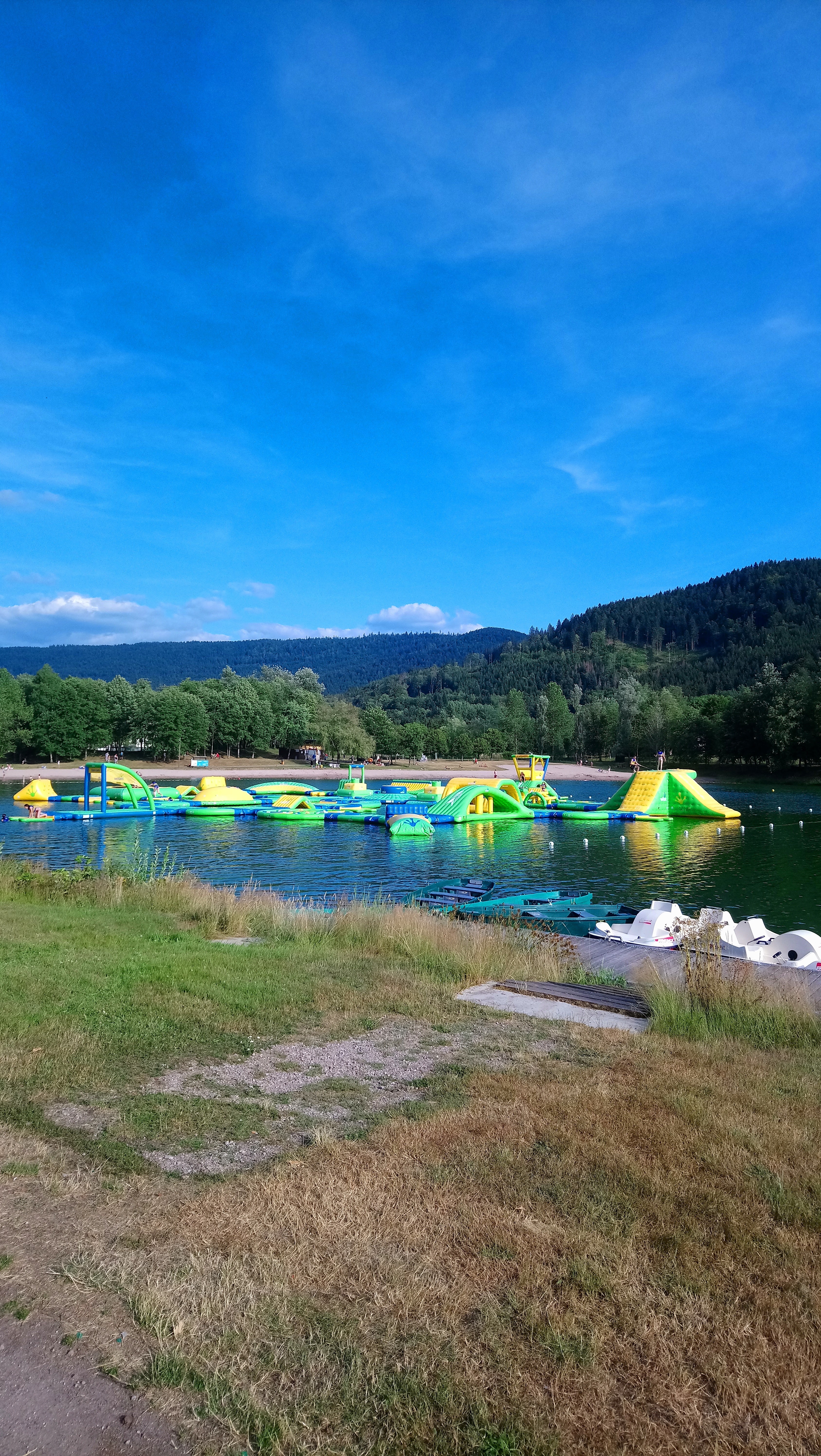 Photo n° 2 de l'avis de leveque.u fait le 20/07/2019 à 12:30