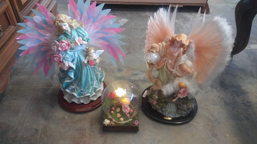 Home Goods Store «Paws & Claws Thrift Store», reviews and photos, 132 E Broad St, Groveland, FL 34736, USA