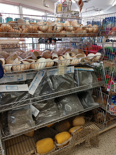 Gift Shop «Big Shark», reviews and photos, 2715 N Atlantic Ave, Daytona Beach, FL 32118, USA