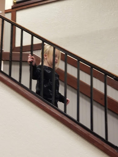 Shopping Mall «Evergreen Shopping Center», reviews and photos, 5015 Tacoma Mall Blvd, Tacoma, WA 98409, USA