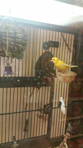 Pet Supply Store «PetSmart», reviews and photos, 198 Promenade Blvd, Flowood, MS 39232, USA