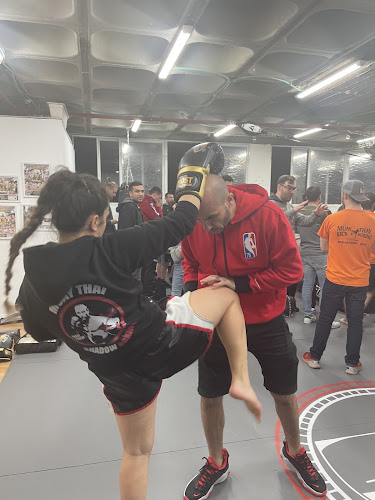 Comentarii opinii despre Shadow boxing by Yossi Kedem
