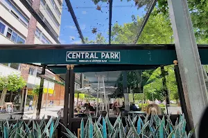 Central Park terraza lounge bar image