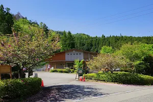 Tanbasasayamakeikokunomori Park image