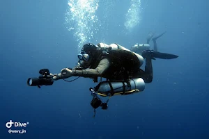 WOW shark diving center image