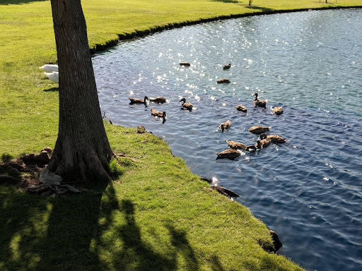 City Park «Celebration Park», reviews and photos, 701 Angel Pkwy, Allen, TX 75002, USA