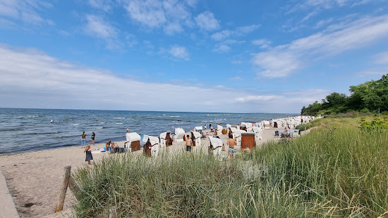 Strand am Schwarzen Busch