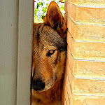 Photo n°1 de l'avis de federico.i fait le 23/07/2018 à 04:30 sur le  Agriturismo Regno Verde à Narni