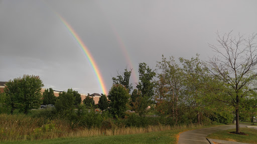 Auto Parts Store «AutoZone», reviews and photos, 6311 S Saginaw St, Grand Blanc, MI 48439, USA