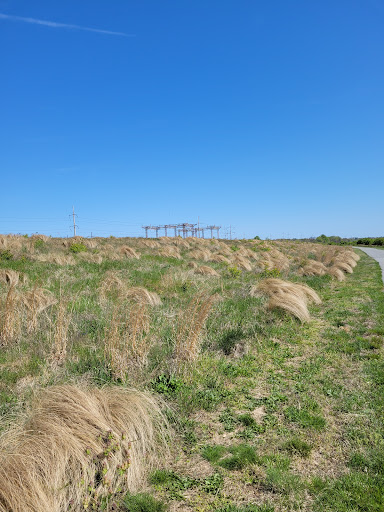 Park «Fox Point State Park», reviews and photos, Hay Road, Wilmington, DE 19809, USA