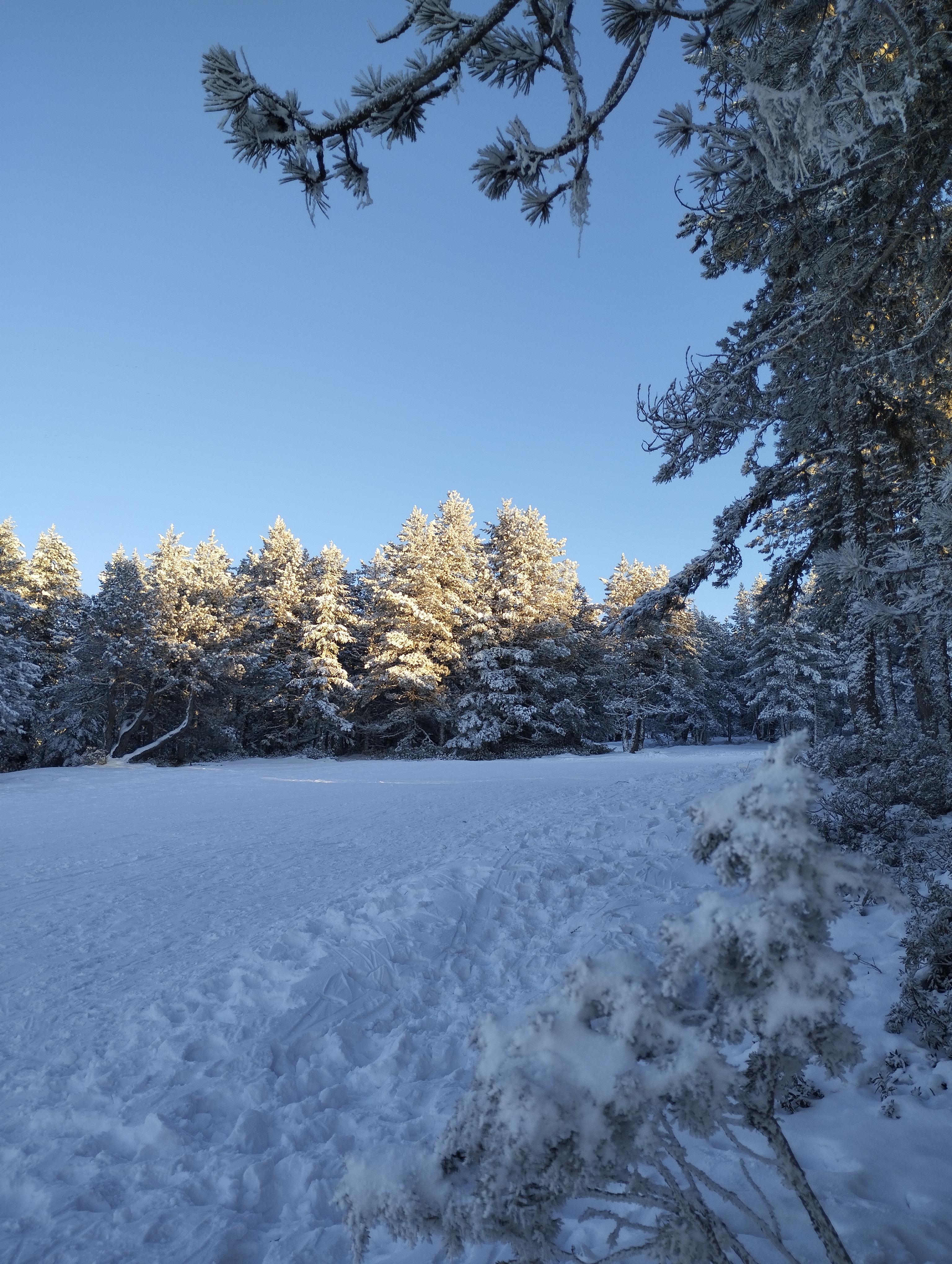 Photo n° 1 de l'avis de Christophe.l fait le 17/12/2022 à 16:28