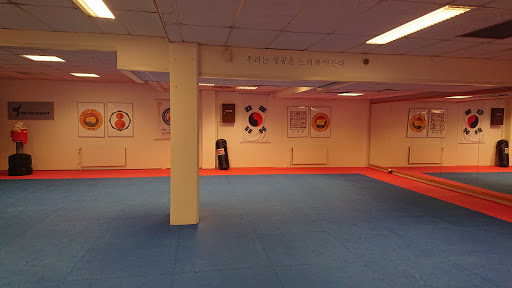Jiu jitsu classes in Oslo