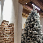 Photo n°9 de l'avis de Michela.n fait le 17/12/2022 à 17:53 sur le  Noikos Bistrot à Bassano del Grappa