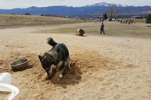 Rampart Dog Park image