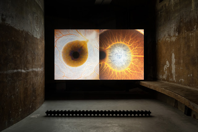 RADIUS, center for contemporary art and ecology