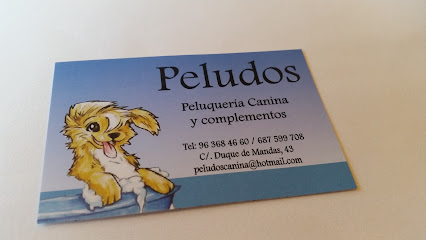 Peluqueria Canina Peludos - Servicios para mascota en Valencia
