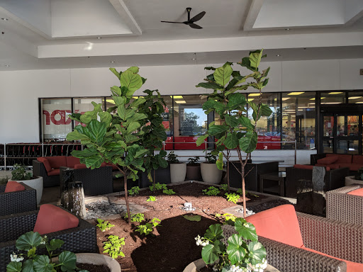 Shopping Mall «Tower Shops», reviews and photos, 1904 S University Dr, Davie, FL 33324, USA