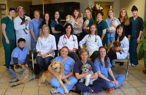 Amherst Veterinary Hospital image