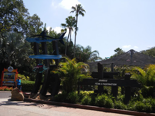 Aquarium «Shark Encounter», reviews and photos, 7007 Sea World Dr, Orlando, FL 32821, USA