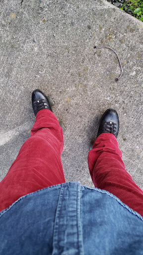 Skateboard Park «Skate Time 209», reviews and photos, 5164 US-209, Accord, NY 12404, USA