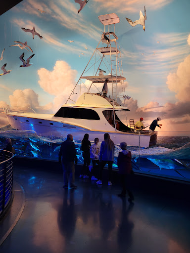 Sporting Goods Store «Bass Pro Shops», reviews and photos, 1935 S Campbell Ave, Springfield, MO 65807, USA