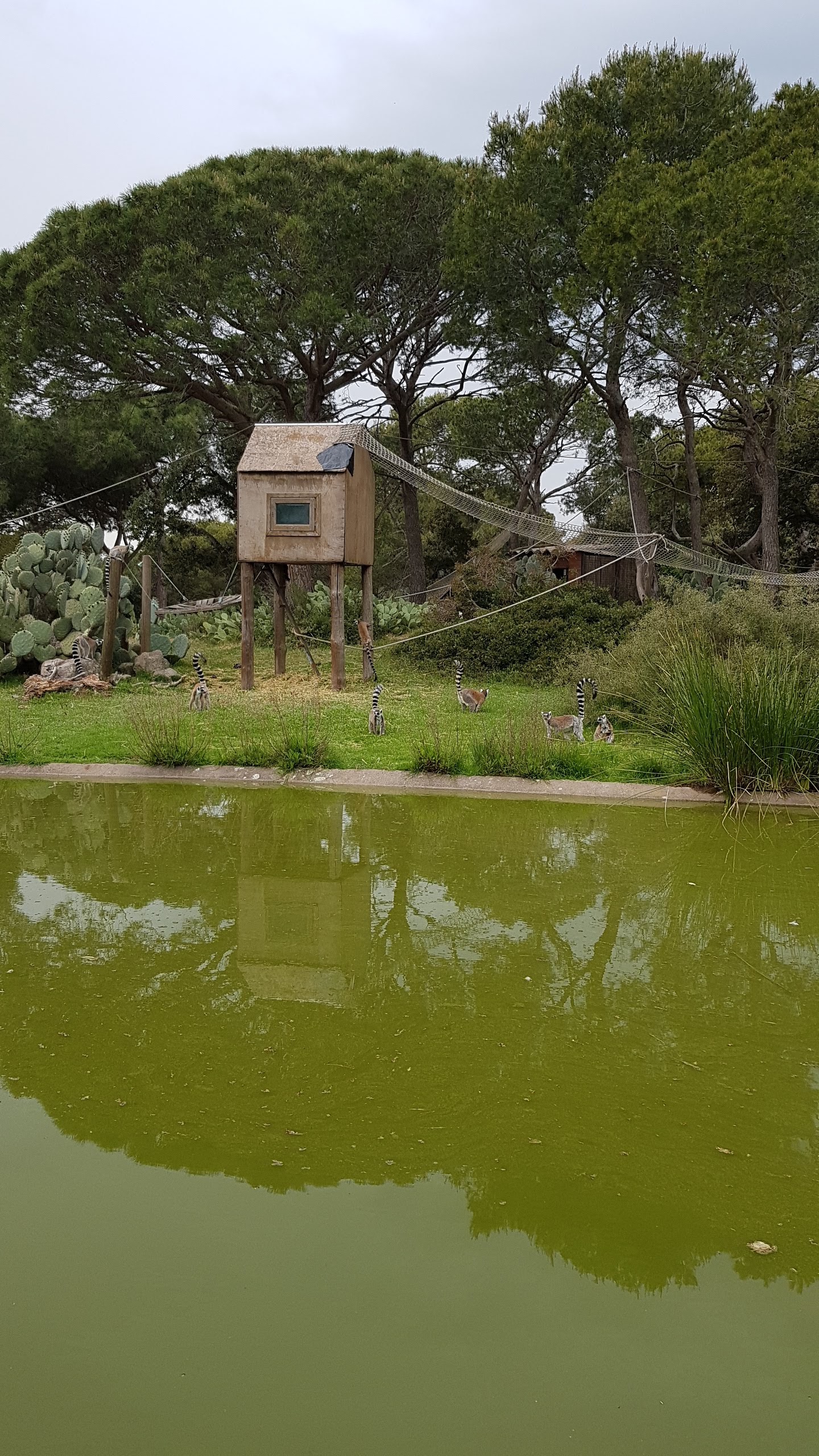 Photo n° 15 de l'avis de Isabelle.e fait le 16/04/2019 à 22:21