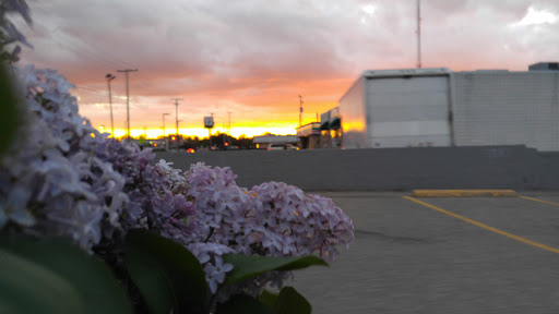 Shopping Mall «Lincoln Shopping Center», reviews and photos, 26092 Greenfield Rd, Oak Park, MI 48237, USA