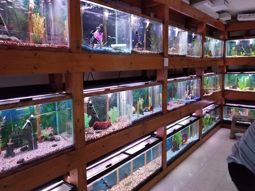 Pet Supply Store «All About Pets», reviews and photos, 9285 Cincinnati Columbus Rd, West Chester Township, OH 45069, USA