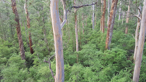 bank Heartbreak Trail