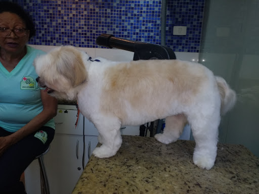 CallVet Clínica Veterinária em São Paulo - SP