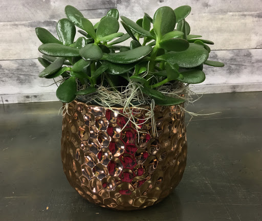 Florist «Flowers & Plants Etc», reviews and photos, 1378 Chain Bridge Rd, McLean, VA 22101, USA