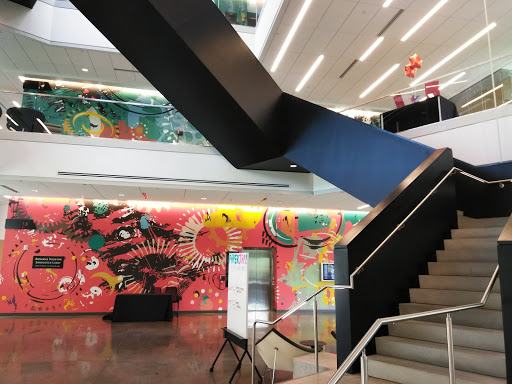 Art School «Ringling College of Art and Design», reviews and photos