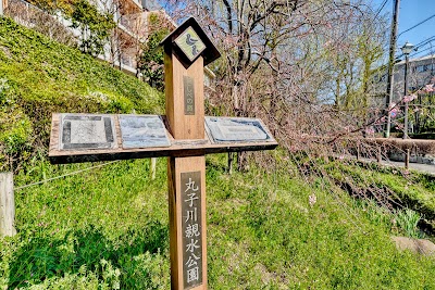 丸子川親水公園