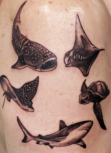 Explore baseball tattoo ideas for guys, creative tattoo ideas in Spokane, available at Anchored Art Tattoo