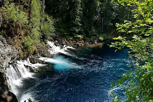 Tamolitch Falls (Blue Pool) image