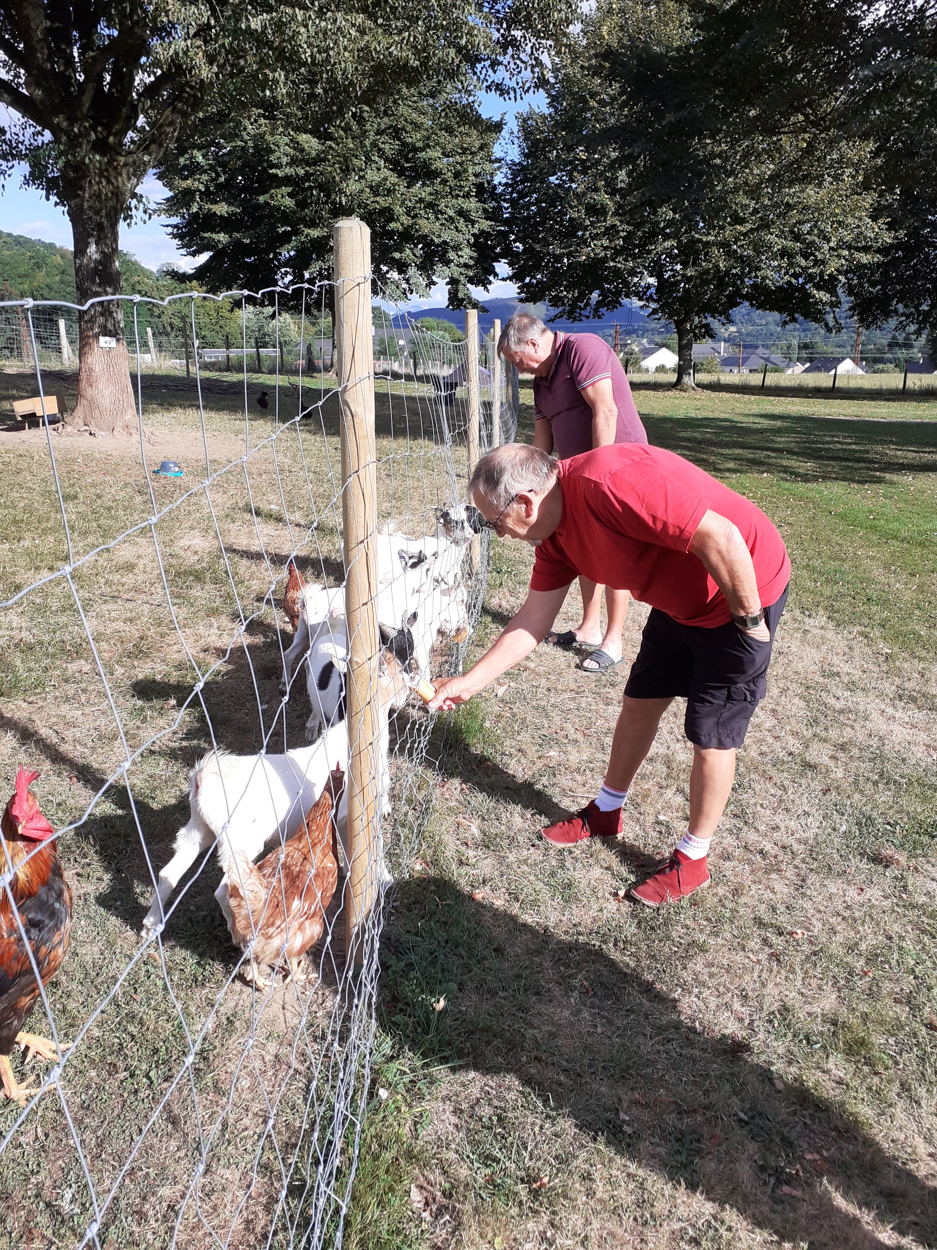 Photo n° 1 de l'avis de Elido.o fait le 10/09/2020 à 07:45