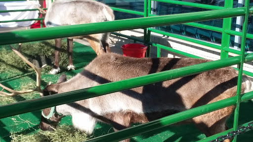 Supermarket «Hy-Vee», reviews and photos, 10808 Fort St, Omaha, NE 68164, USA