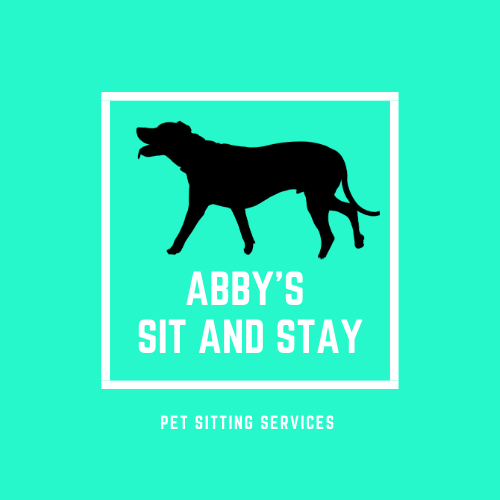 Abbys Sit and Stay