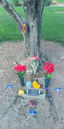 Park «Mountain Crest Park», reviews and photos, 4701 N Durango Dr, Las Vegas, NV 89129, USA