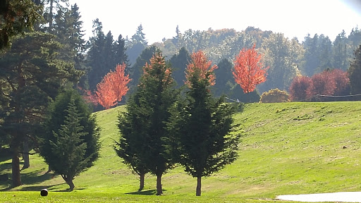 Park «West Seattle Golf Course», reviews and photos, 4600 35th Ave SW, Seattle, WA 98126, USA