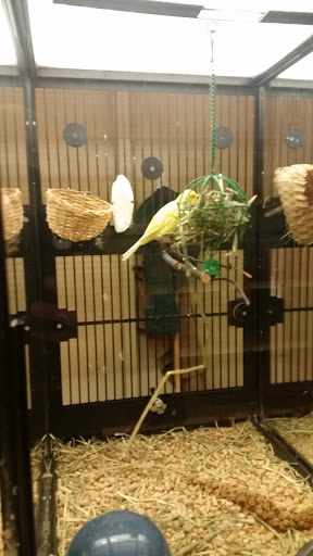 Pet Supply Store «PetSmart», reviews and photos, 1183 Berkshire Blvd, Wyomissing, PA 19610, USA