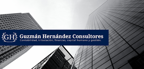 Guzmán Hernández Consultores