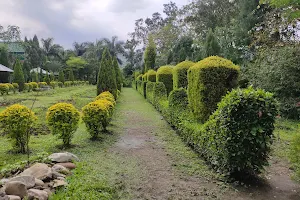 Matai Garden image