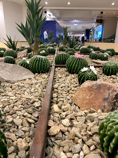 Computer Store «Apple Biltmore», reviews and photos, 2502 E Camelback Rd, Phoenix, AZ 85016, USA