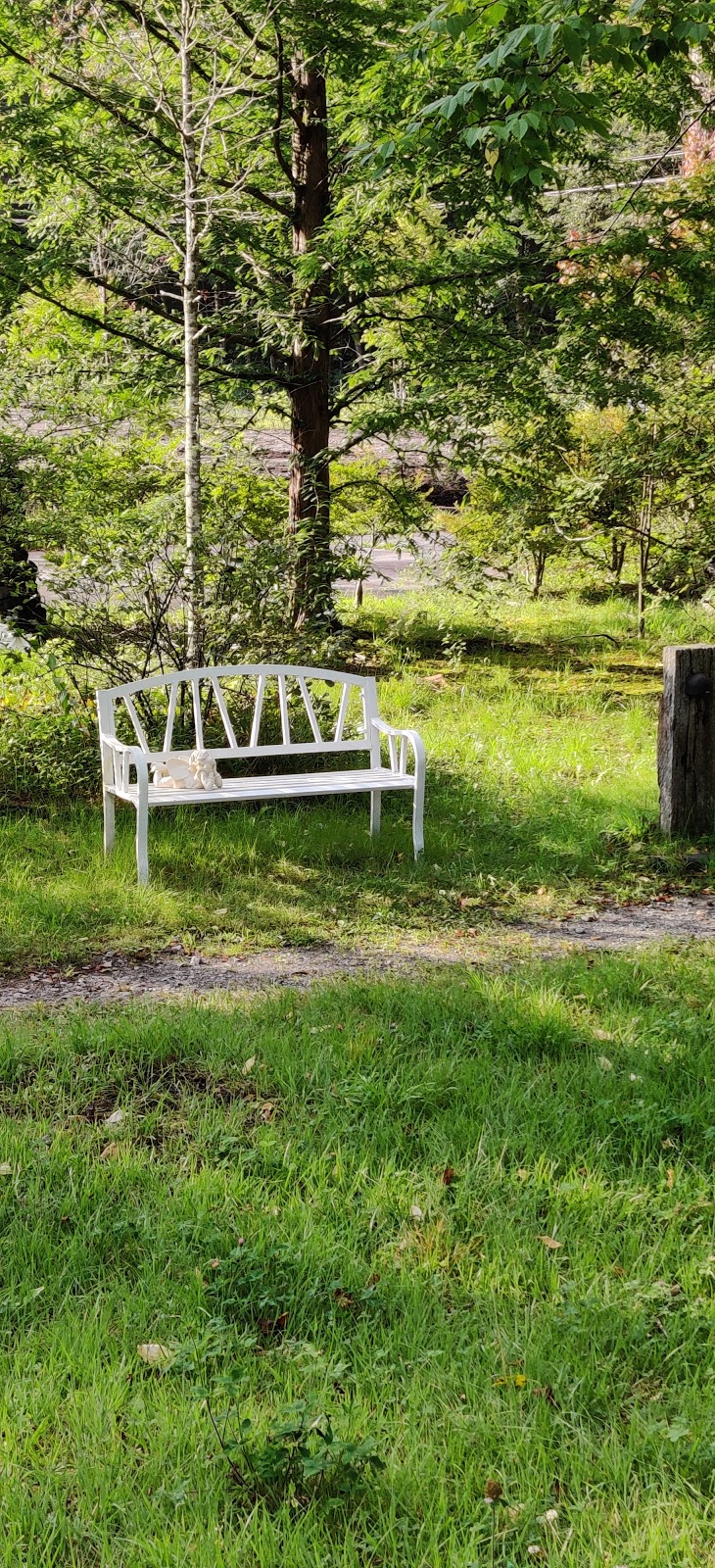 ティーサロン 軽井沢の芽衣 長野県軽井沢町発地 コーヒーショップ 喫茶店 カフェ グルコミ