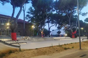 Skatepark Rosignano image