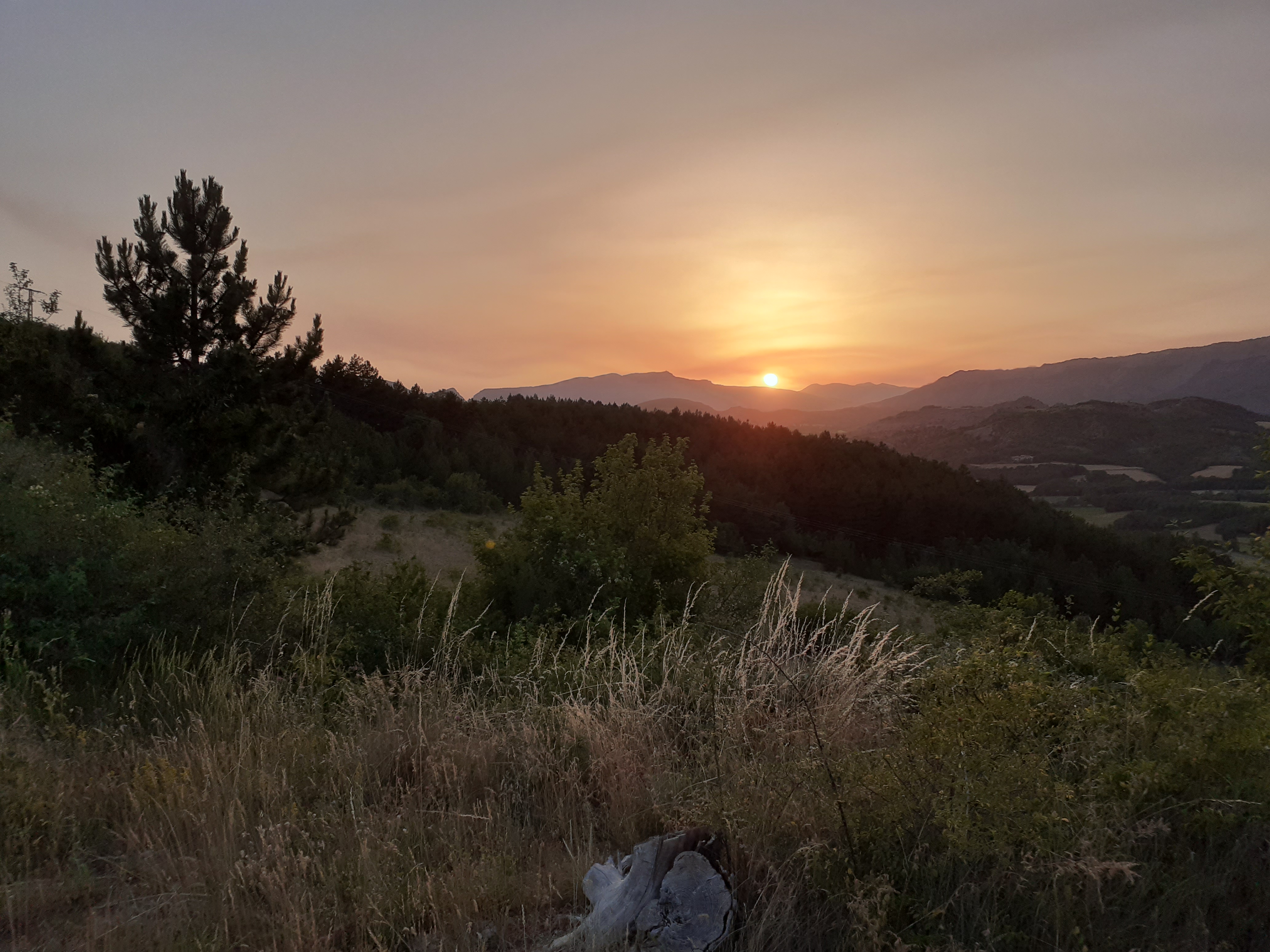 Photo n° 2 de l'avis de Jm.o fait le 20/06/2022 à 19:23