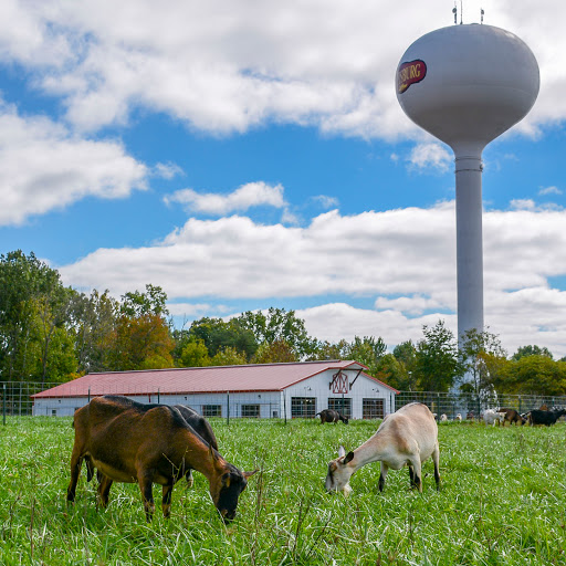 Farm «Goat Milk Stuff», reviews and photos, 76 S Lake Rd N, Scottsburg, IN 47170, USA