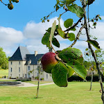 Photo n° 3 de l'avis de ray.l fait le 12/04/2022 à 07:04 pour Manoir de Cleronde OFFICIAL Dday Normandy à Blay